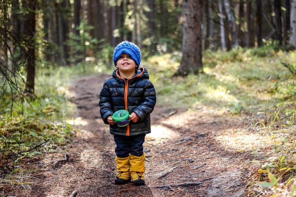 Picture of: Best Toddler Hiking Gear – Baby Can Travel